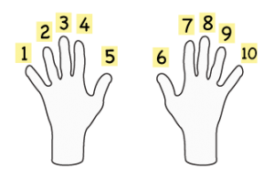 Image result for 10 fingers